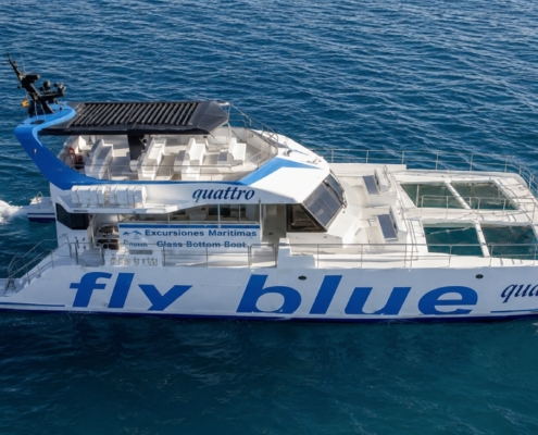 fly-blue